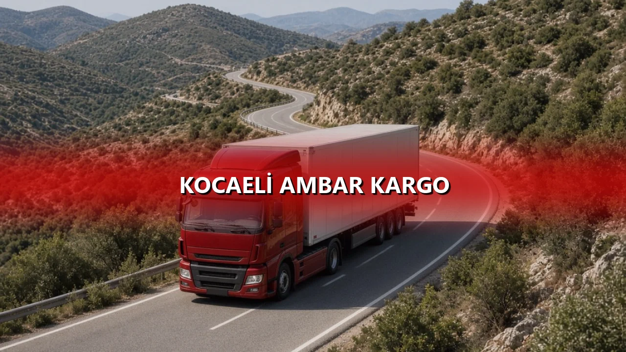 Kocaeli Ambar Kargo