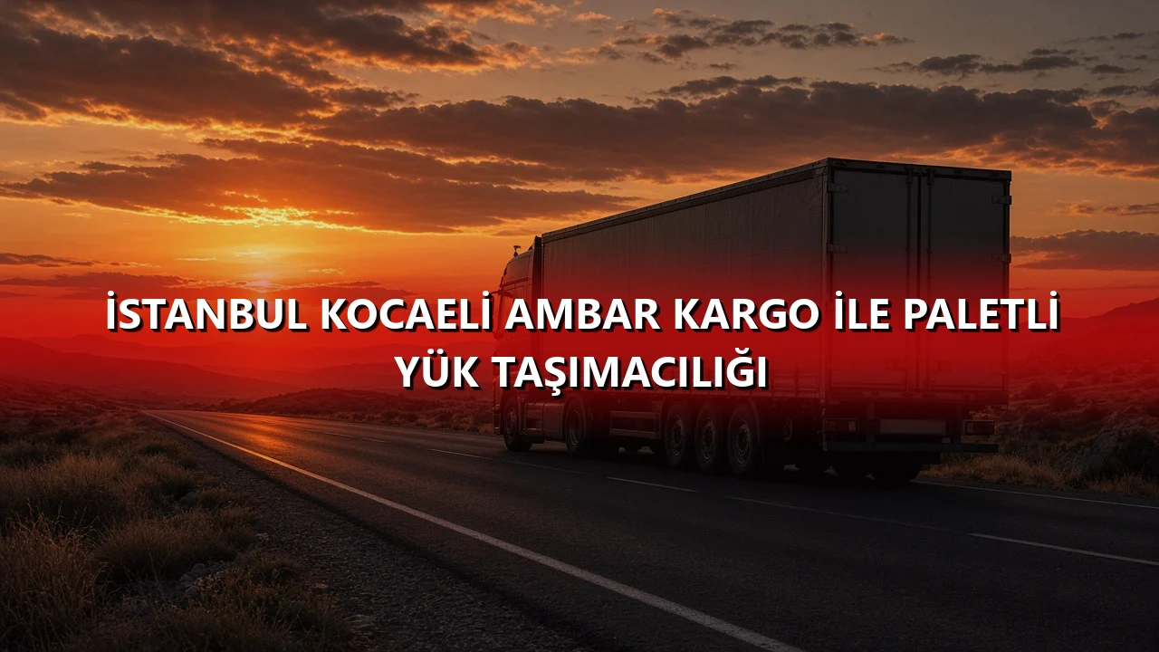 İstanbul Kocaeli Ambar Kargo İle Paletli Yük Taşımacılığı